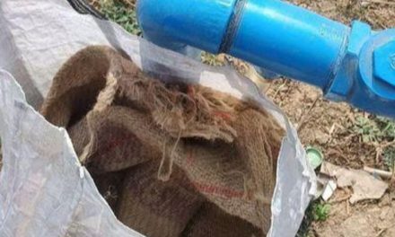 ರಸ್ತೆ ಪಕ್ಕದ ಚೀಲವೊಂದರಲ್ಲಿ ನವಜಾತ ಶಿಶು ಪತ್ತೆ.!!